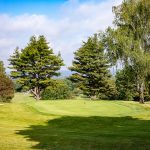 Golf 2024-10